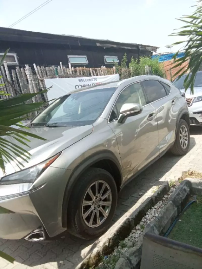 Lexus NX 300   - 2017