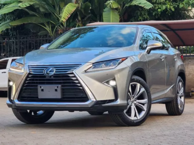 Lexus RX 300   - 2018