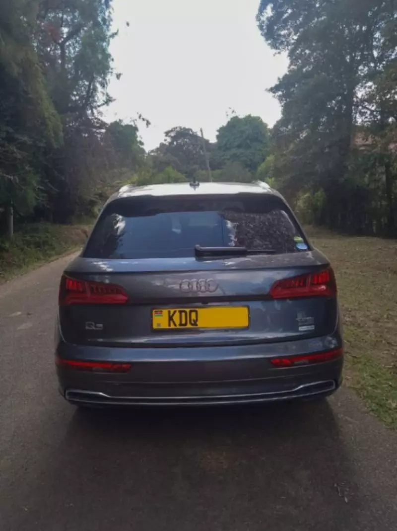 Audi Q5 - 2019