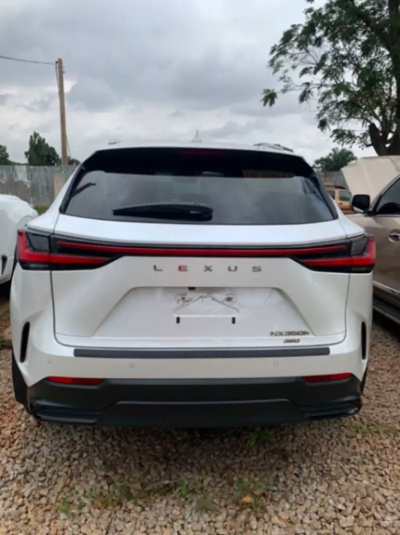 Lexus NX   - 2023