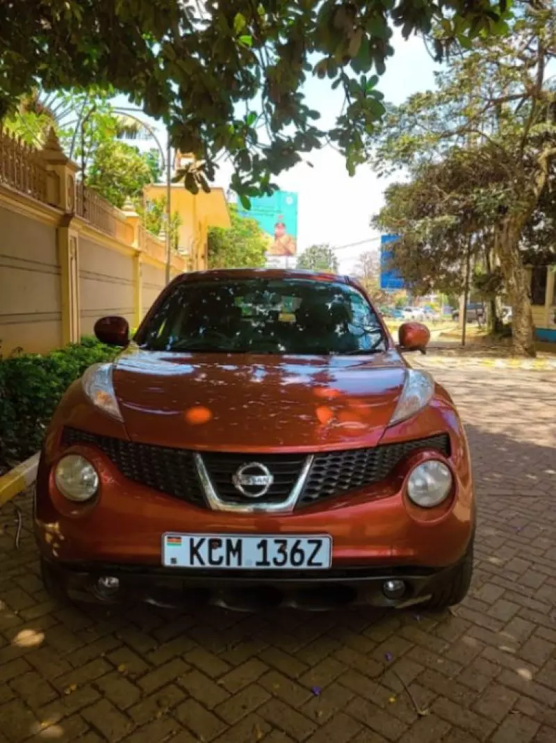Nissan Juke   - 2010