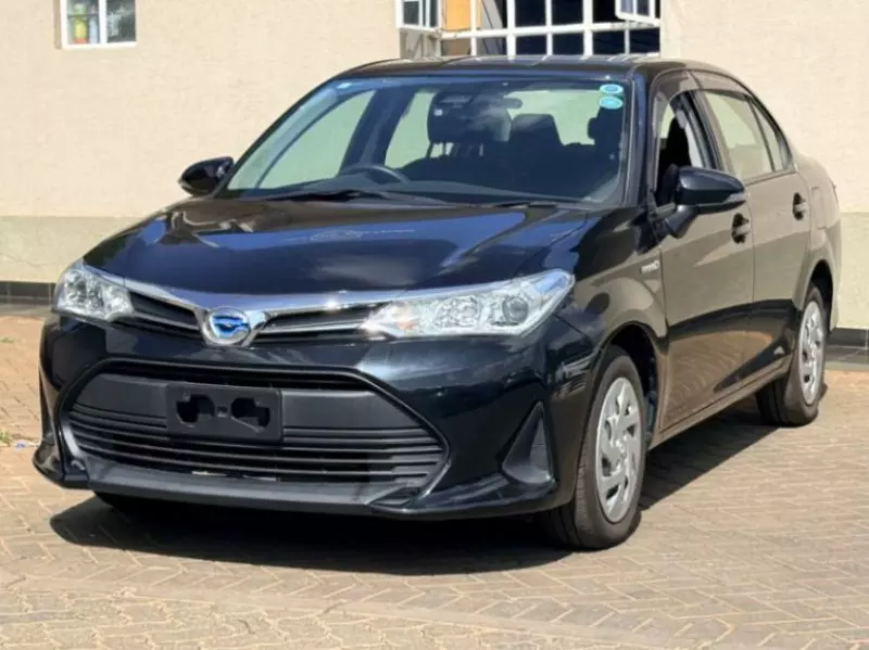 Toyota Axio    - 2019