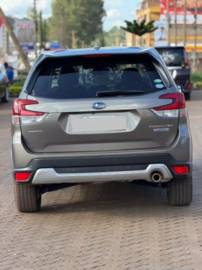 Subaru Forester   - 2019