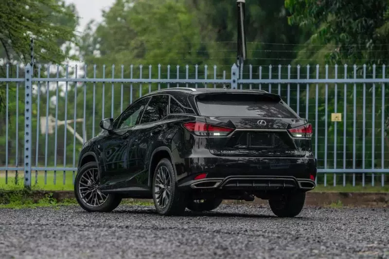 Lexus RX 300   - 2019