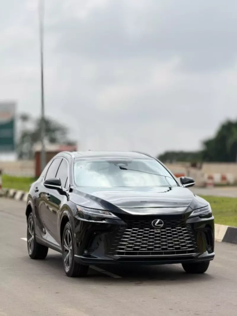 Lexus RX   - 2024