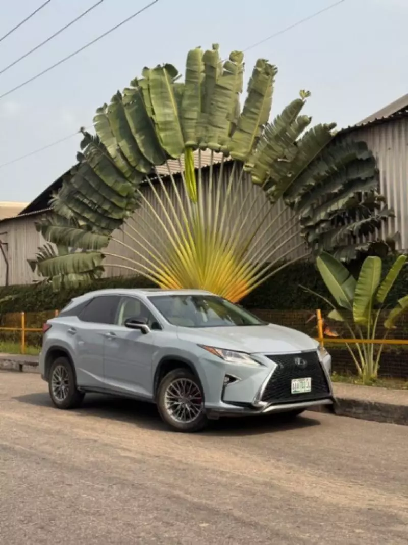 Lexus RX   - 2016