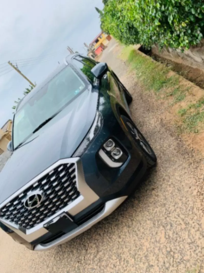 Hyundai Palisade   - 2020