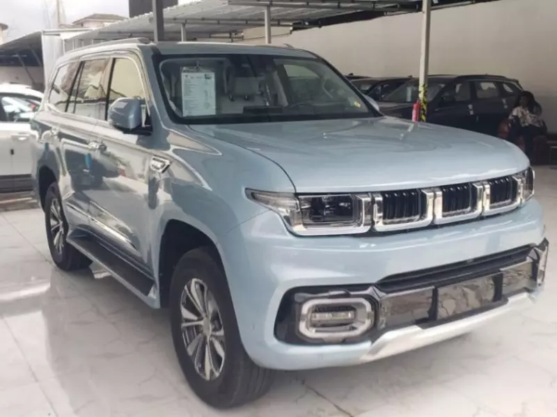 BYD Grande Punto   - 2026