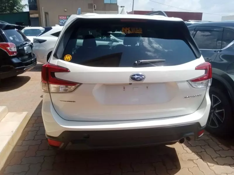 Subaru Forester   - 2019