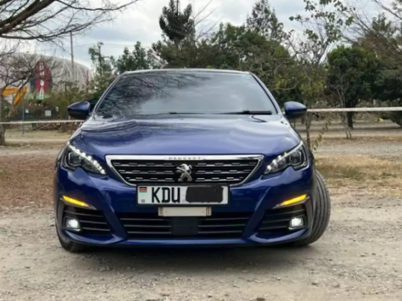 Peugeot 308 - 2018