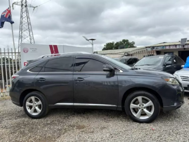 Lexus RX   - 2010