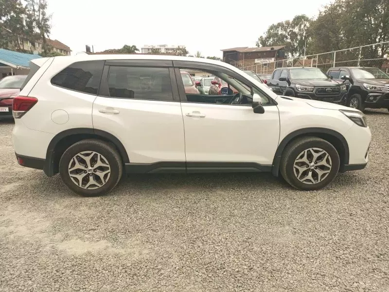 Subaru Forester   - 2019