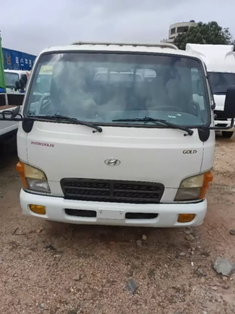 Hyundai Mighty   - 2010
