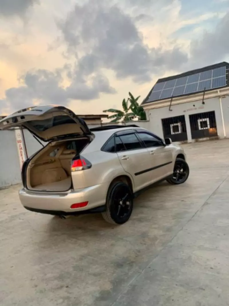 Lexus RX 330   - 2005