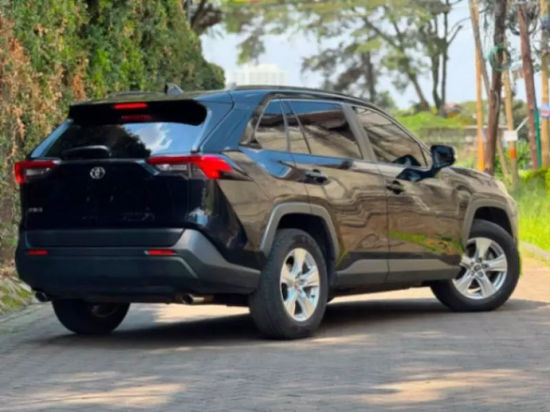 TOYOTA RAV4   - 2019