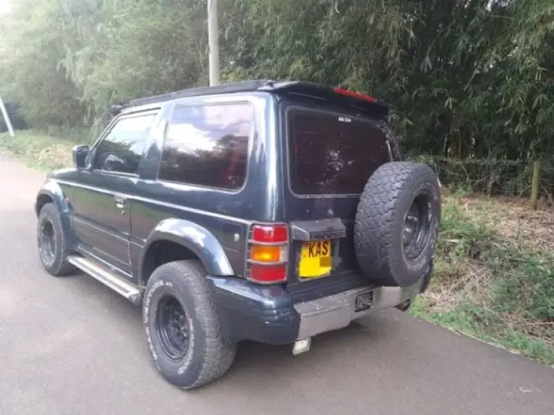 Mitsubishi Pajero   - 1992
