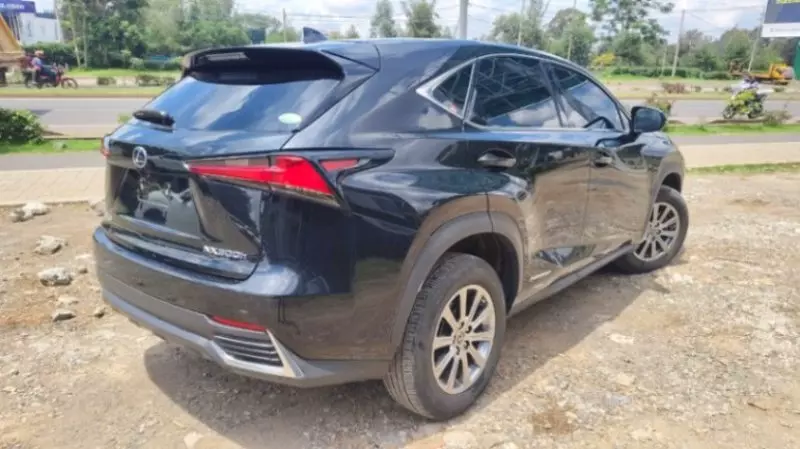 Lexus NX   - 2018