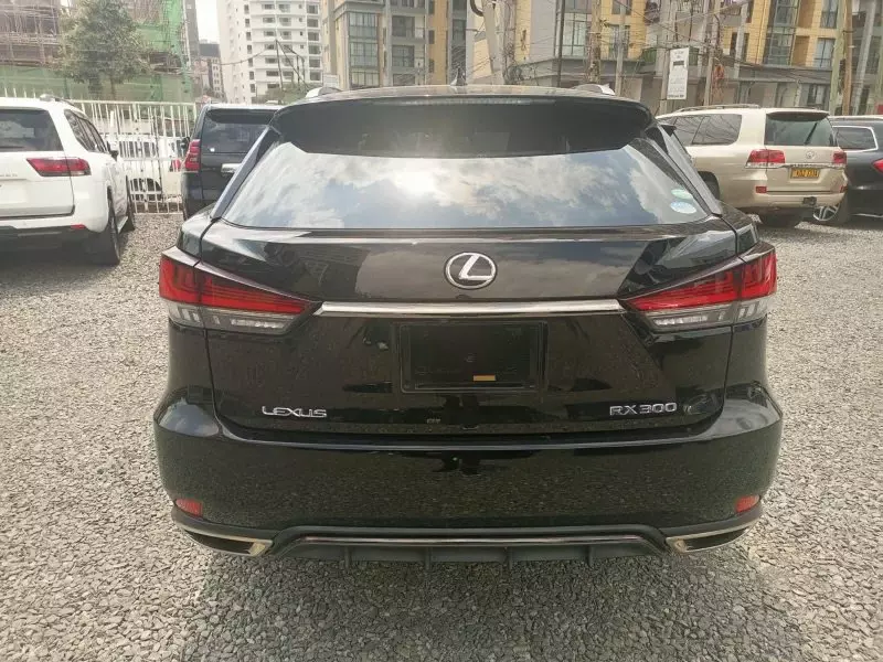 Lexus RX 300   - 2019