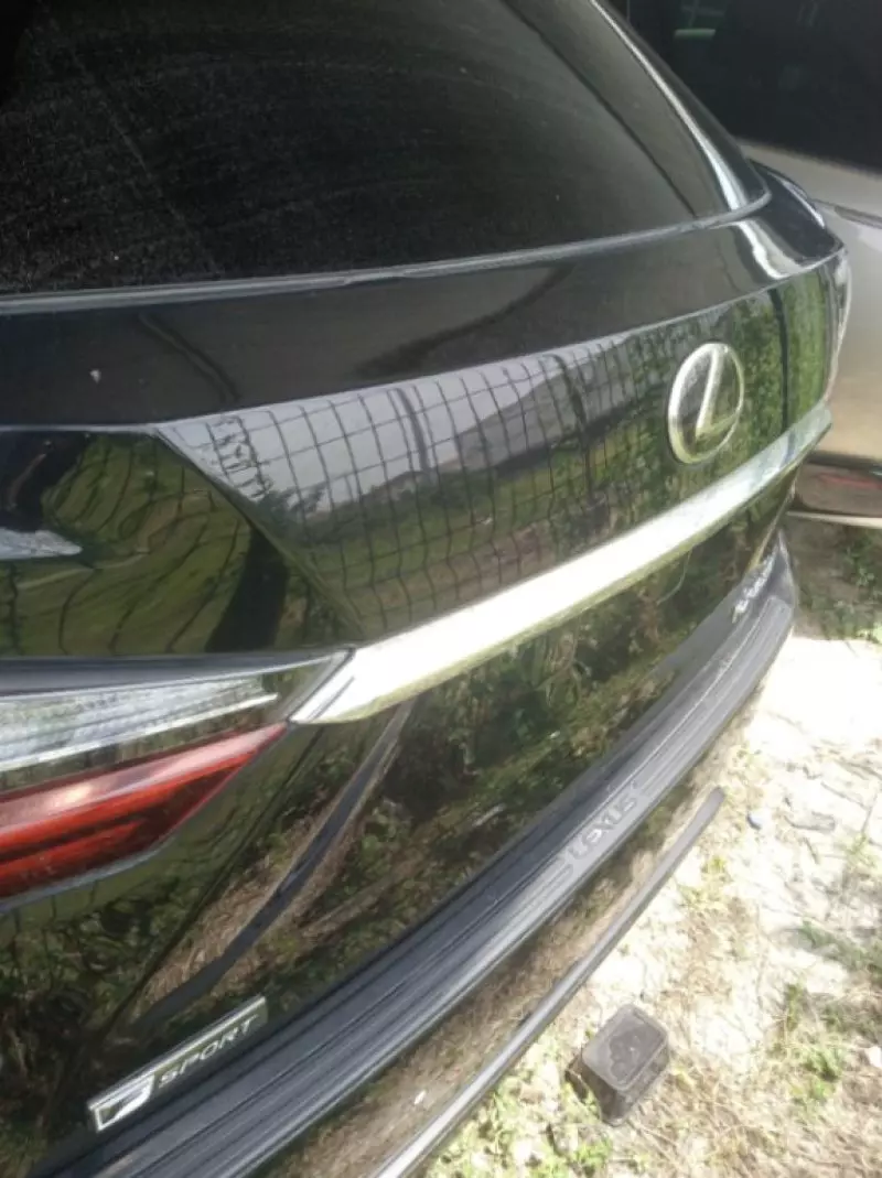 Lexus RX   - 2017