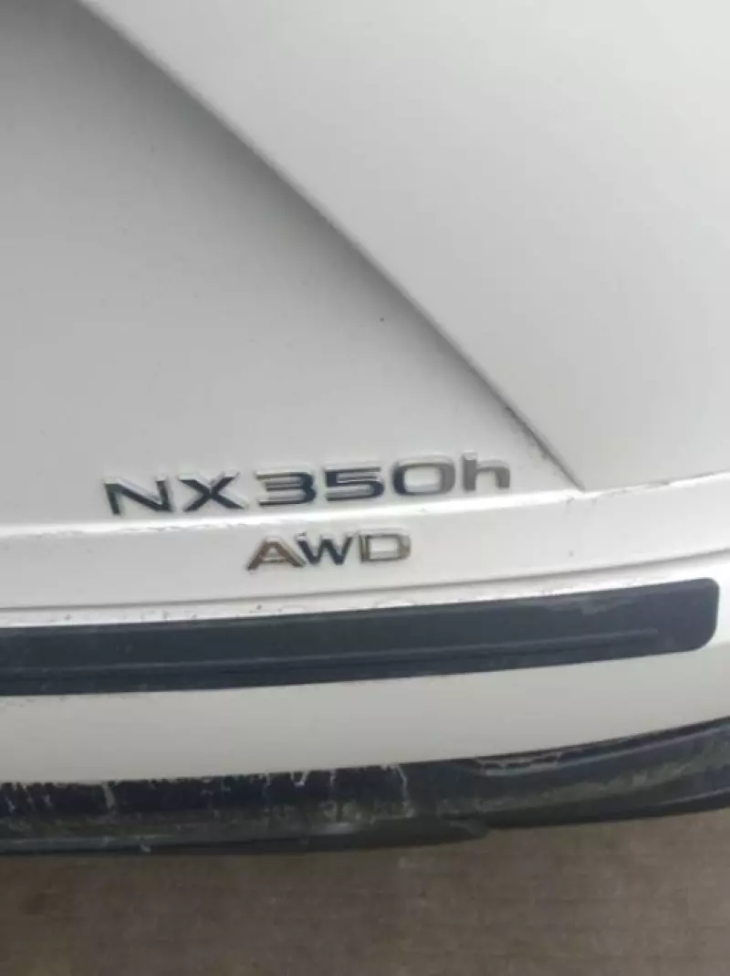Lexus NX   - 2024
