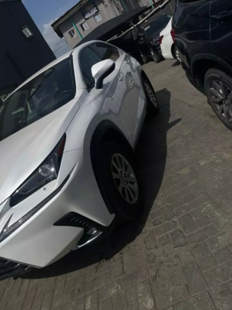 Lexus NX   - 2021