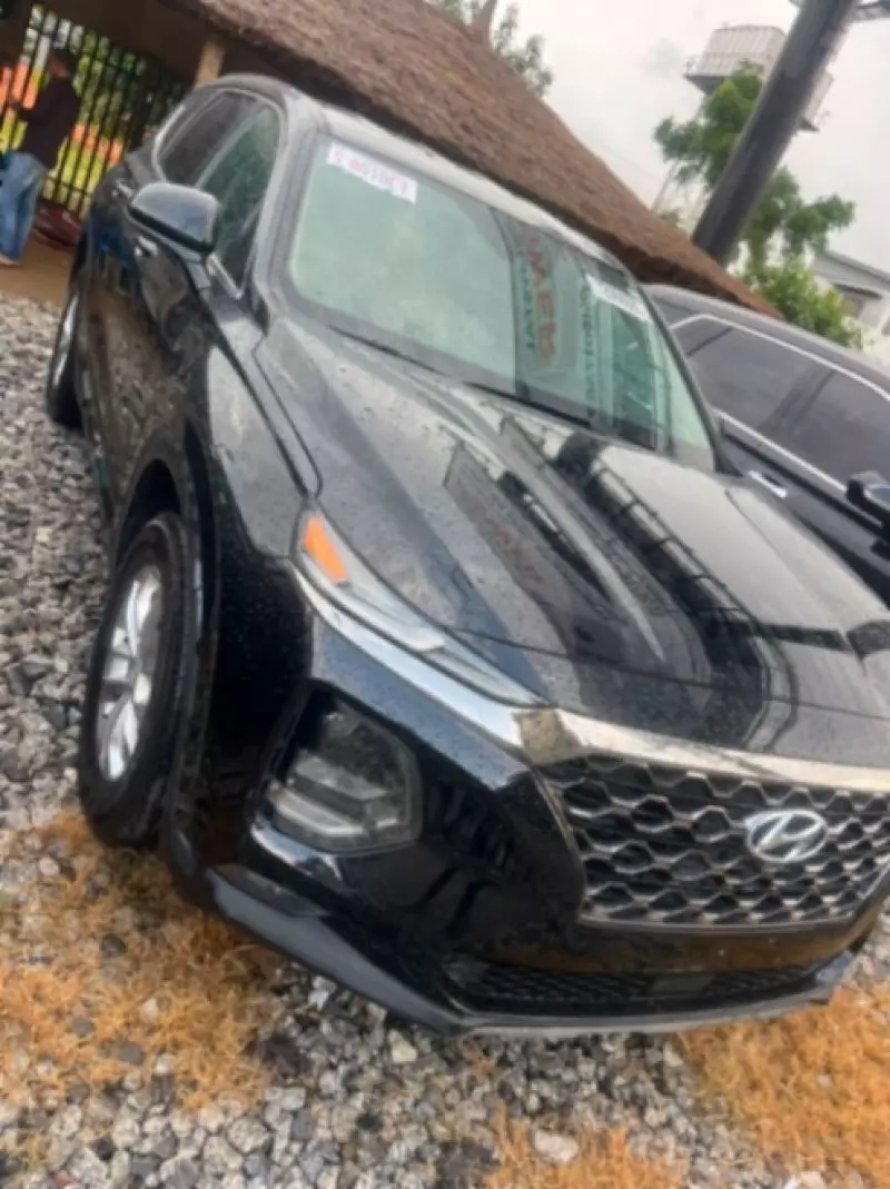Hyundai Santa Fe   - 2019