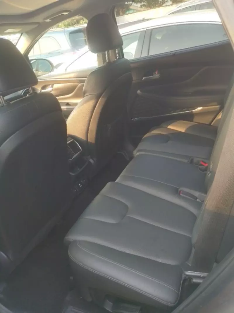 Hyundai Santa Fe   - 2019