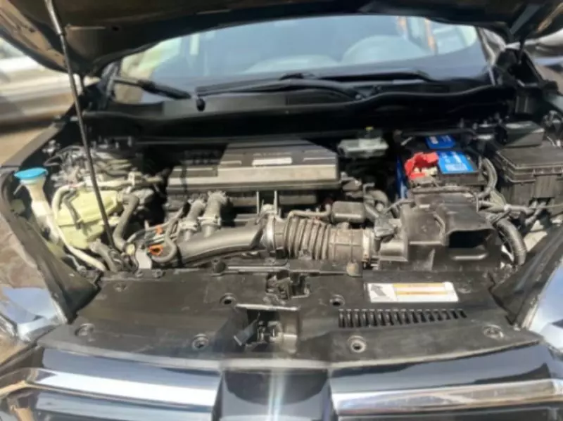 Honda CR-V   - 2019