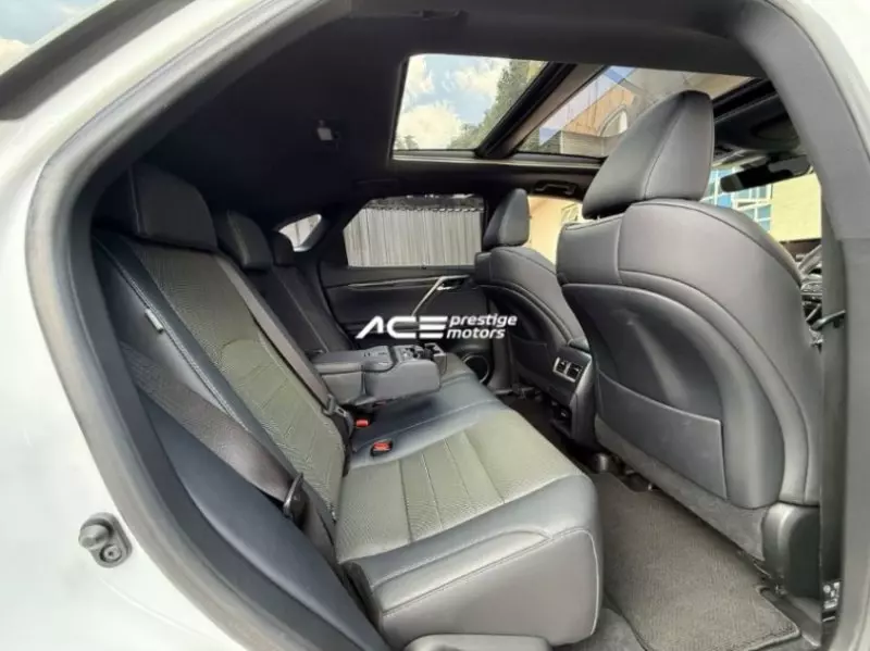 Lexus RX 300   - 2019