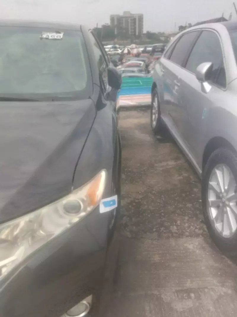 Toyota Venza   - 2010