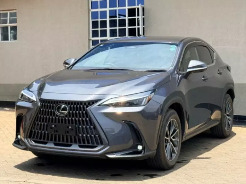 Lexus NX 200T - 2022
