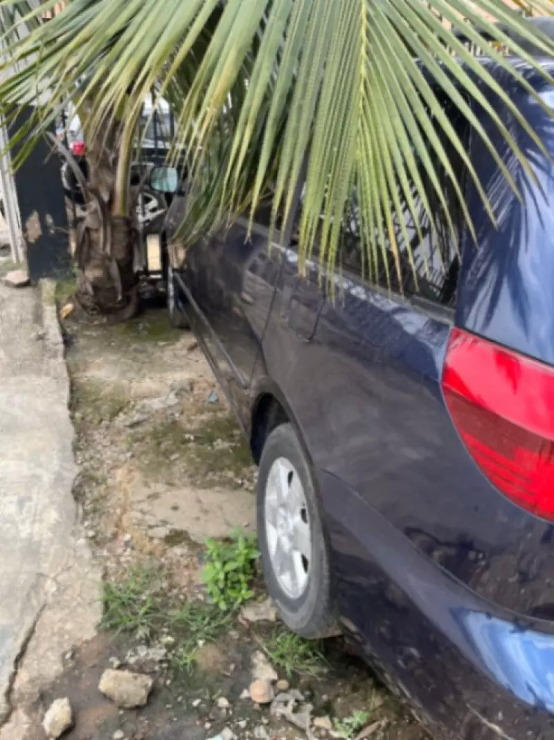 TOYOTA Sienna   - 2004