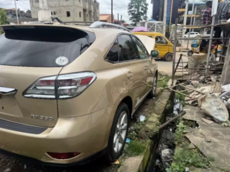 Lexus RX   - 2010