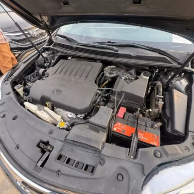 Toyota Avalon   - 2014
