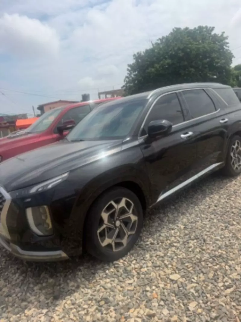 Hyundai Palisade   - 2020