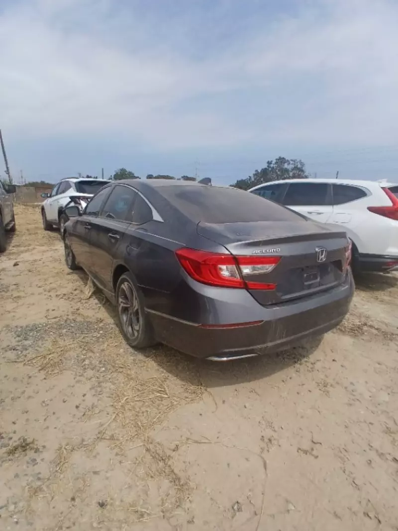 Honda Accord   - 2019