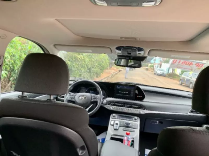 Hyundai Palisade   - 2020