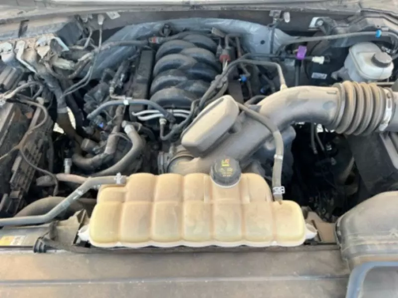 Ford RAPTOR F150   - 2020