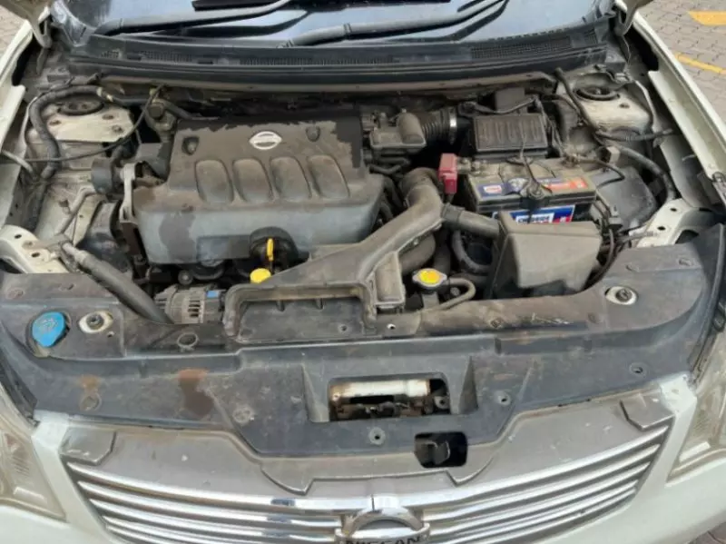 Nissan Sylphy   - 2010