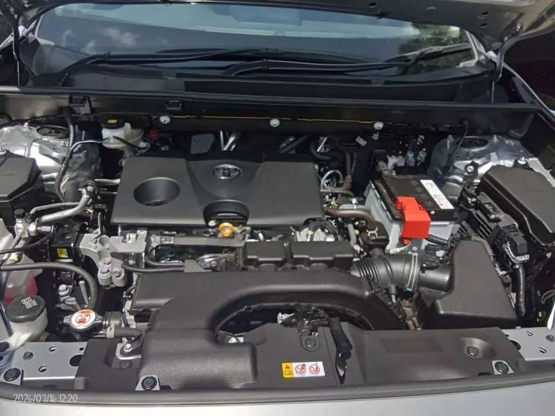 TOYOTA RAV 4 - 2020