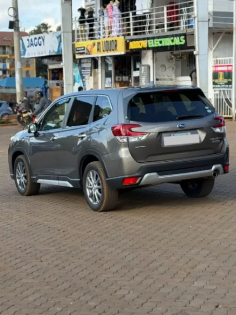 Subaru Forester   - 2019