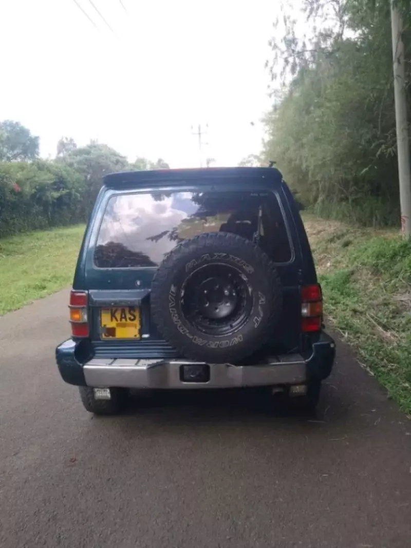 Mitsubishi Pajero   - 1992