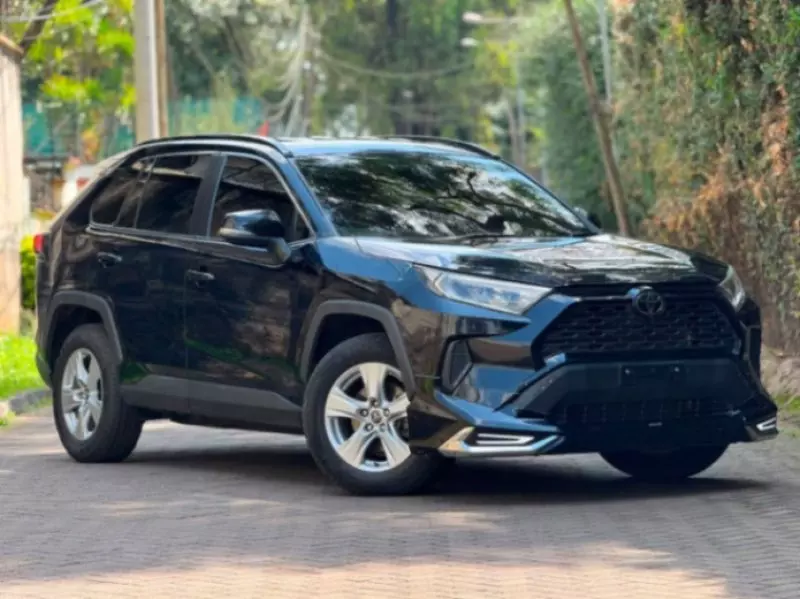 TOYOTA RAV4   - 2019