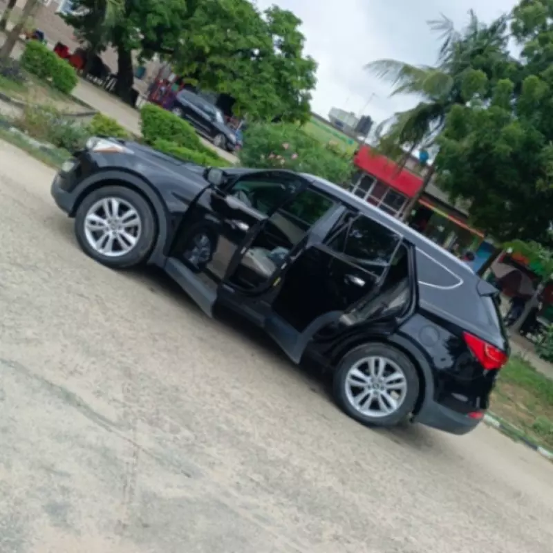 Hyundai Santa Fe - 2013