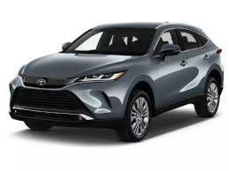 TOYOTA Venza   - 2024