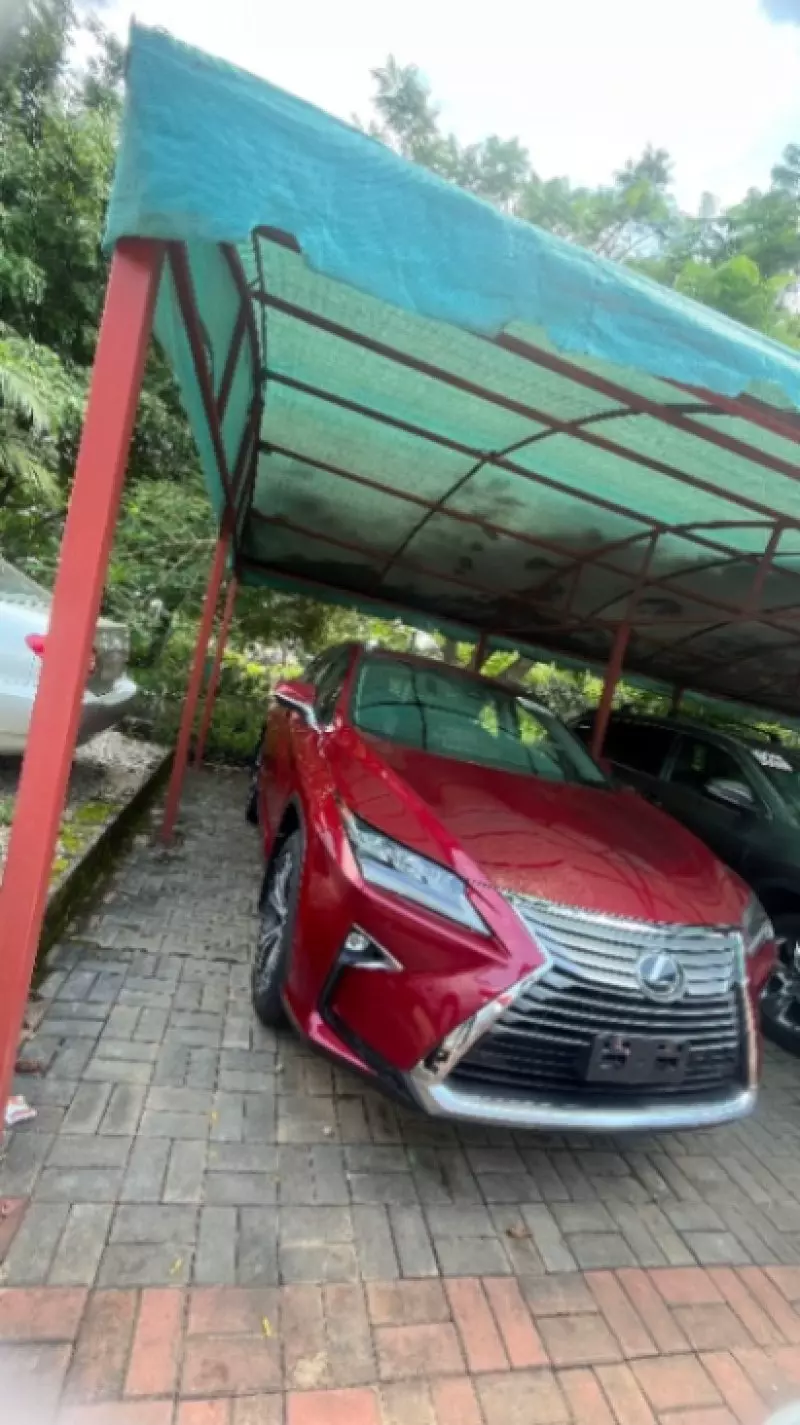 Lexus RX   - 2017