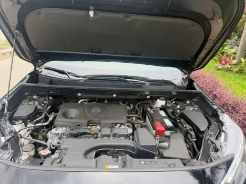 TOYOTA RAV4   - 2024