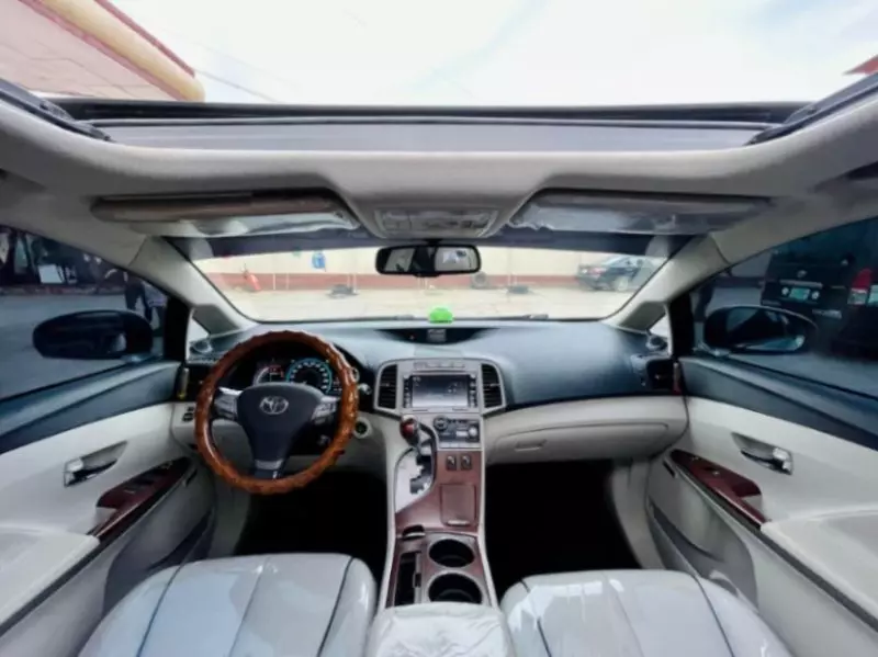 Toyota Venza - 2010