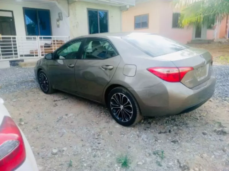 Honda Civic   - 2019
