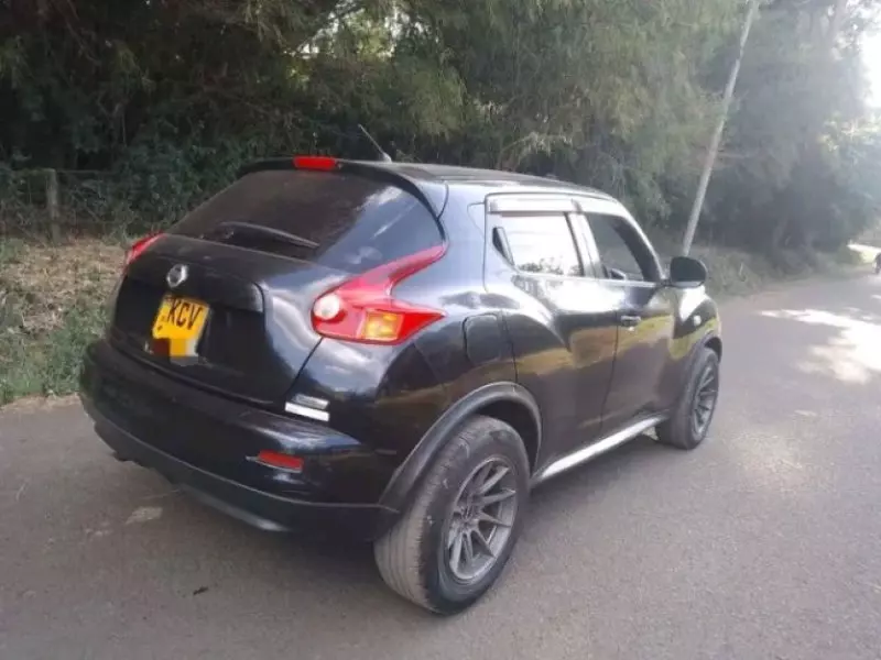Nissan Juke   - 2011